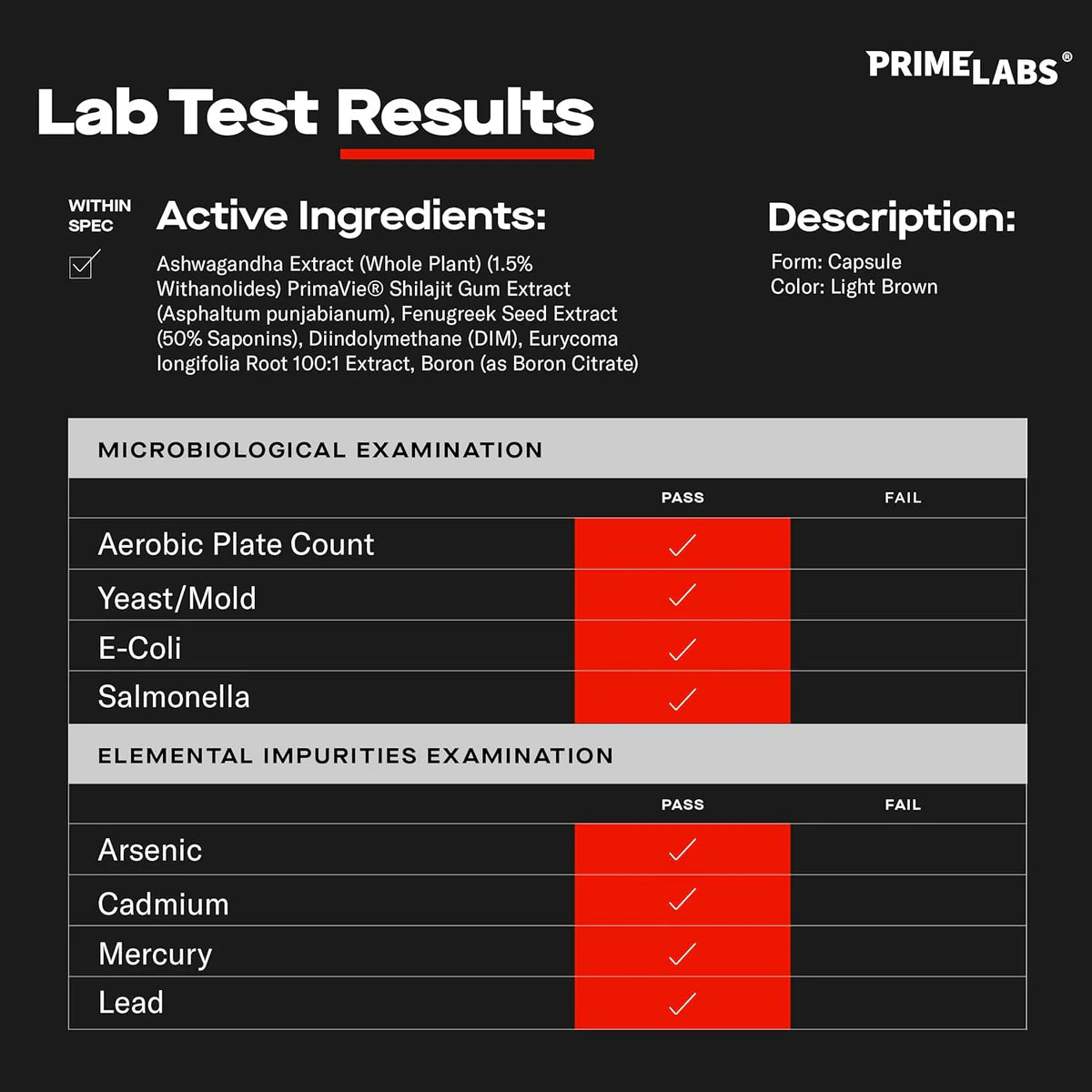 PrimeTest Pro